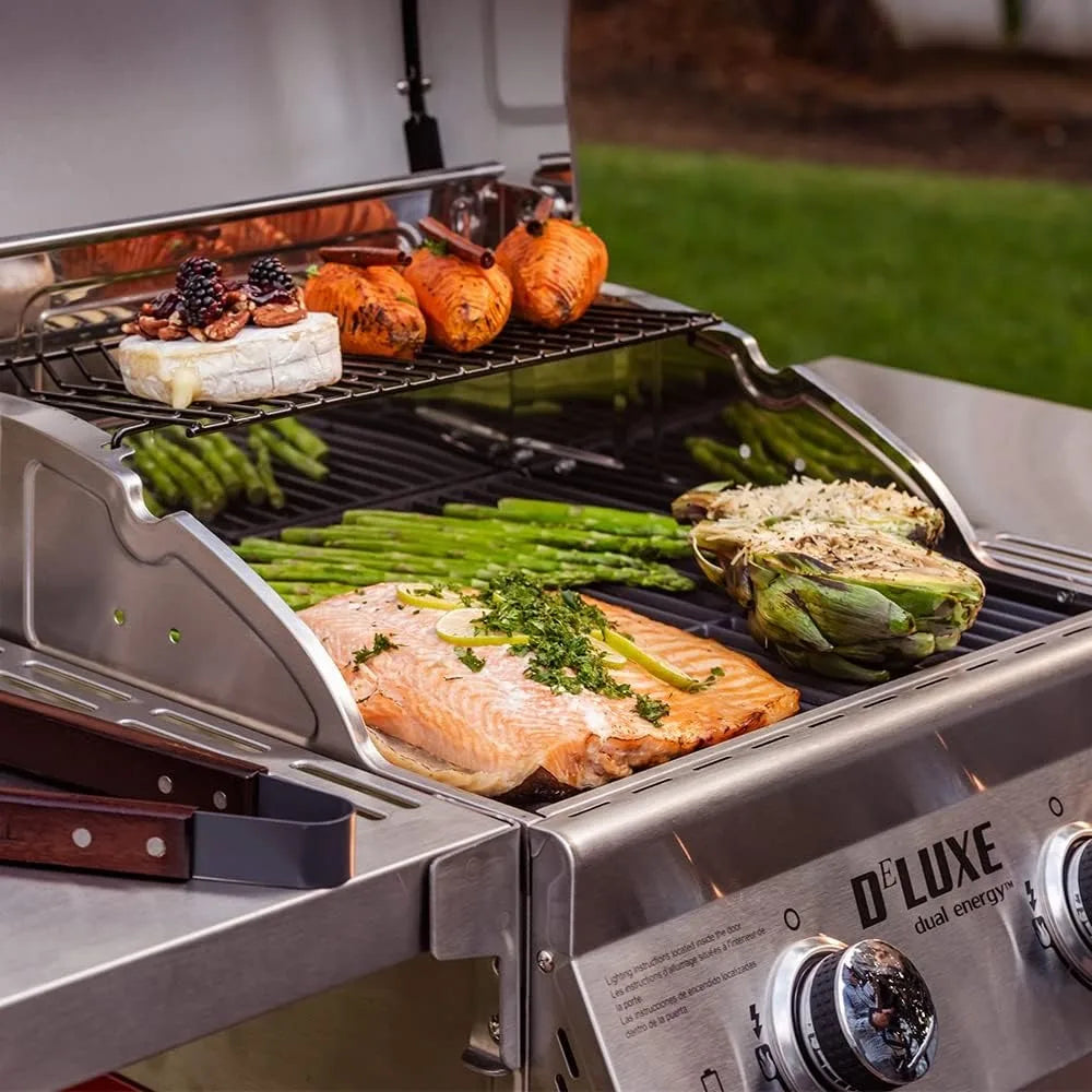 Deluxe 2-Burner Propane Barbecue Gas Grill